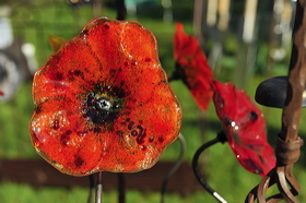 pv10_hd_0141_carole_2e5cb44