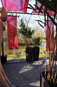 pv10_hd_0194_carole_2e5ce78