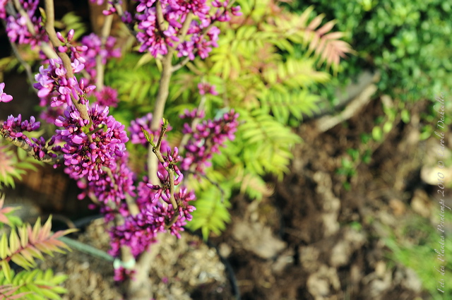 pv10_hd_0079_carole_2e5c220.jpg
