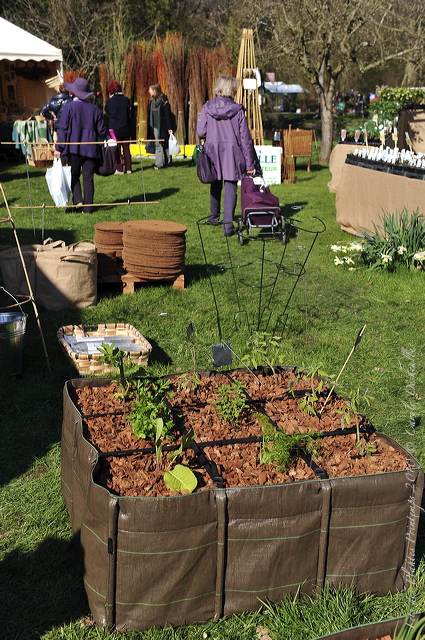 pv10_hd_0104_carole_2e5c843.jpg