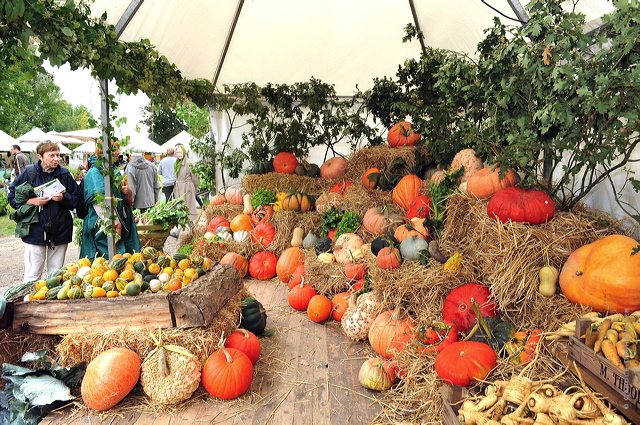 fl10_hd_229_caroled_45ad370.jpg